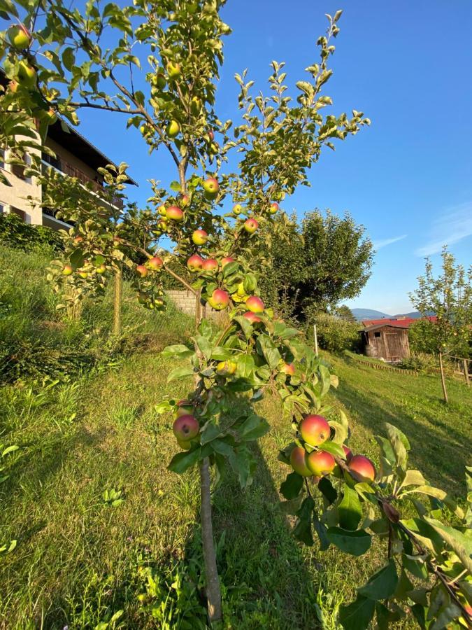 Haus Otis Apartman Millstatt Kültér fotó